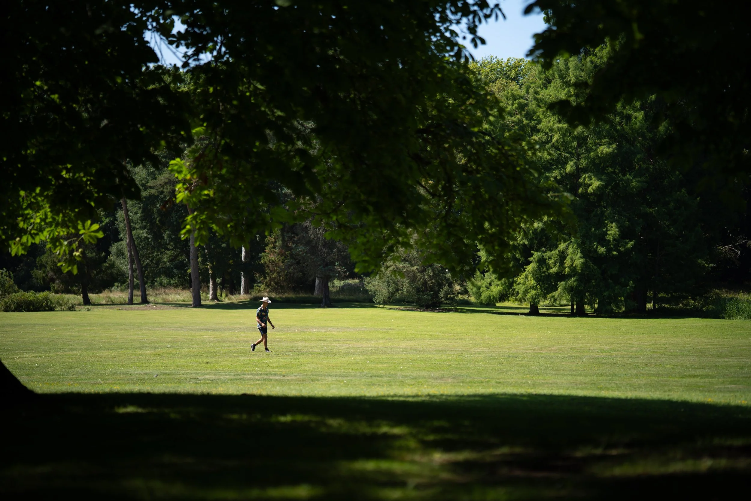 Personne promenant un chien dans un parc verdoyant, encadré par des arbres feuillus.