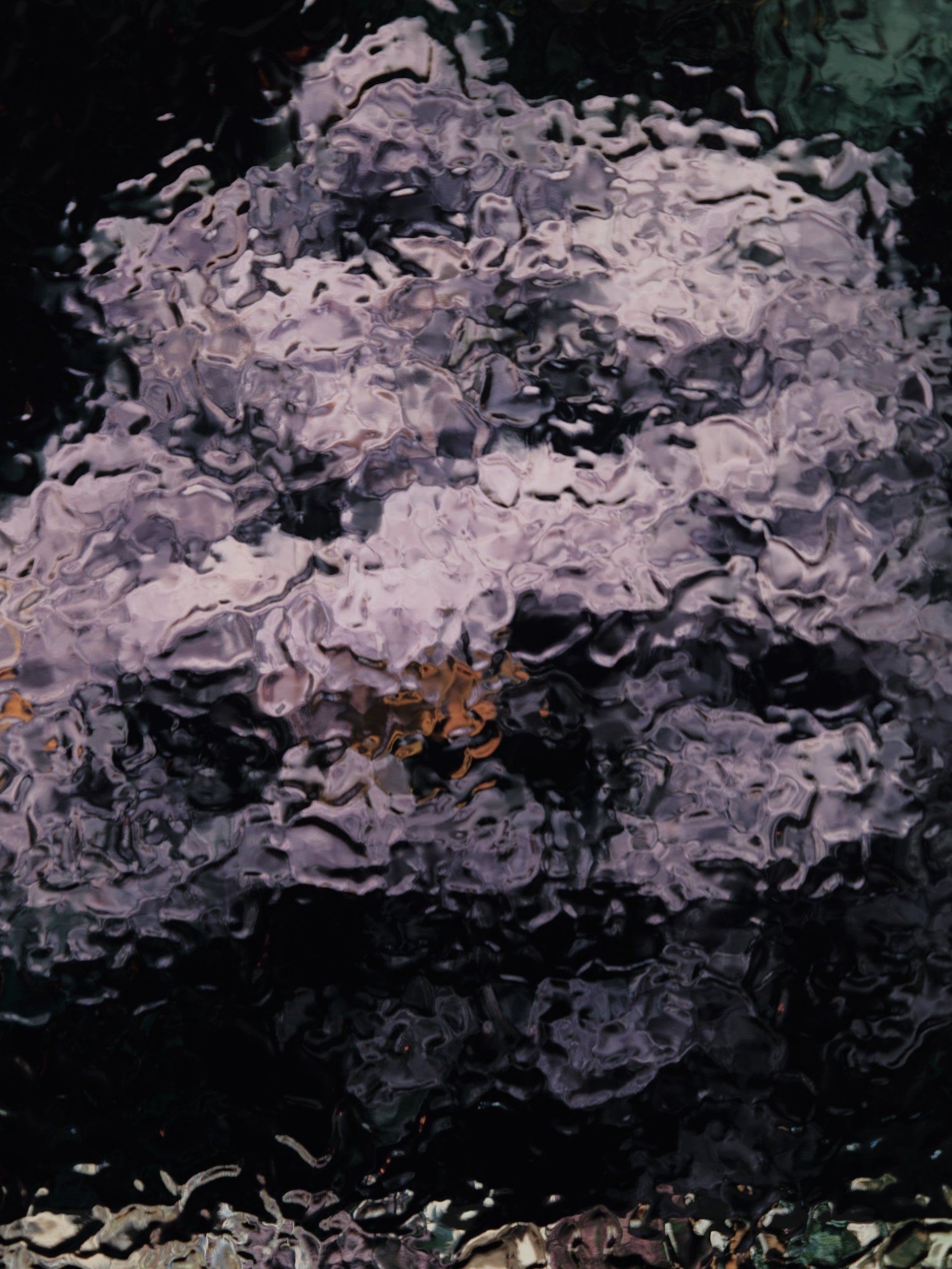 mukogawa_9_web.jpg