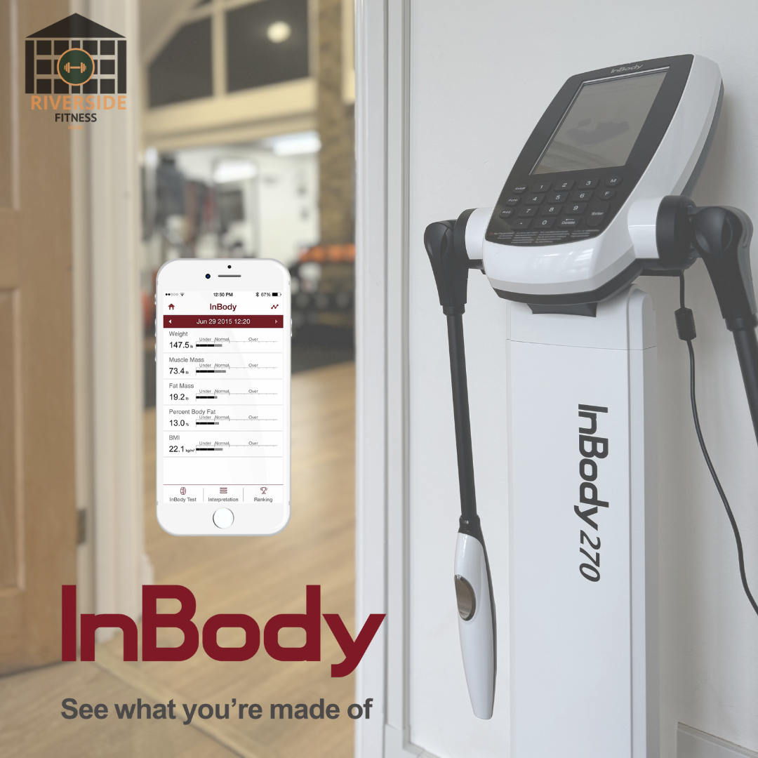 Beyond the Scale: Understanding Your Fitness Journey with InBody Scanning