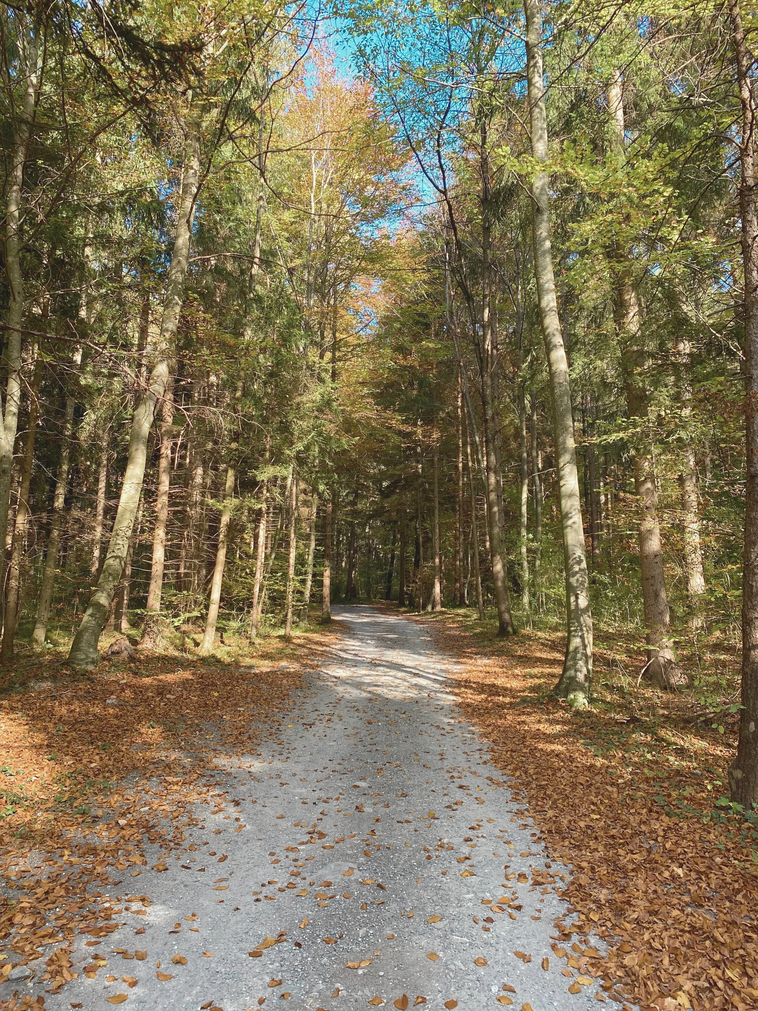 Mein Weg ohne Social Media