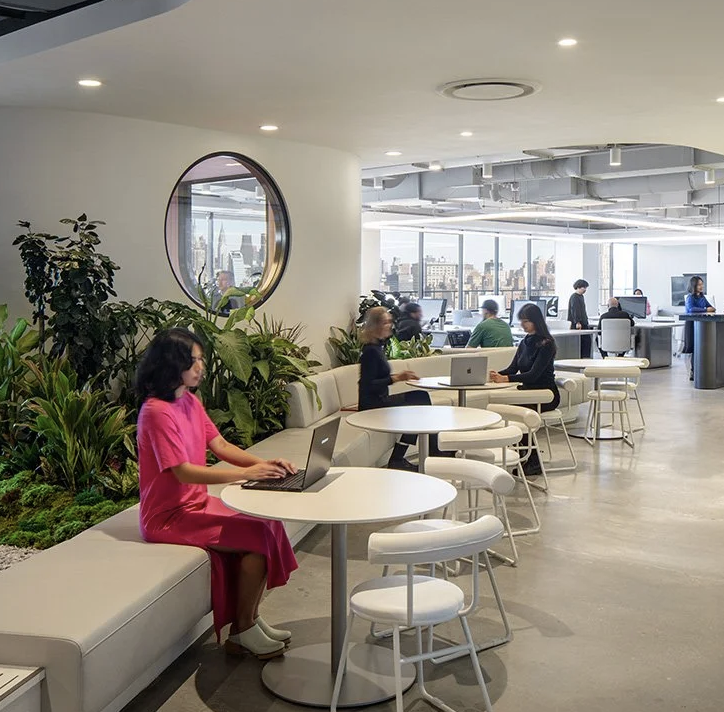 DIv12 Bitsi white.png