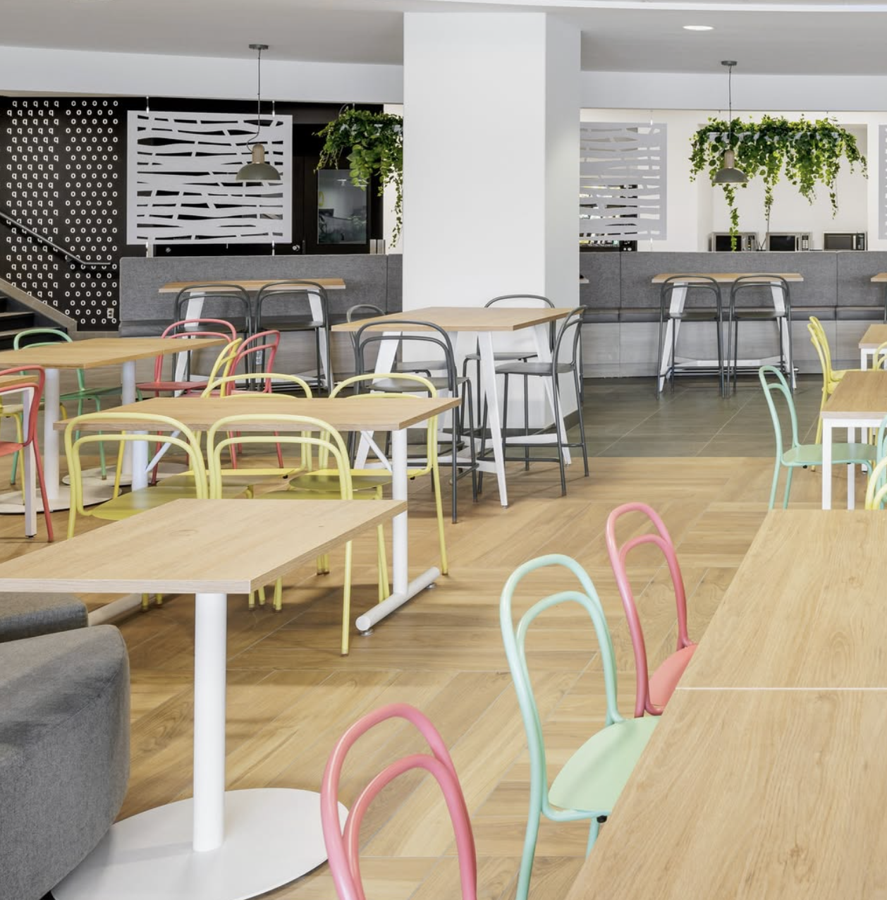 div12 Catty pastels.png