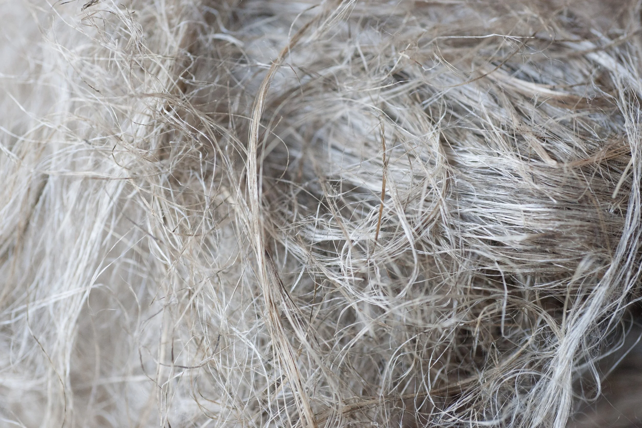 Falx natural fibers for drylaid nonwovens