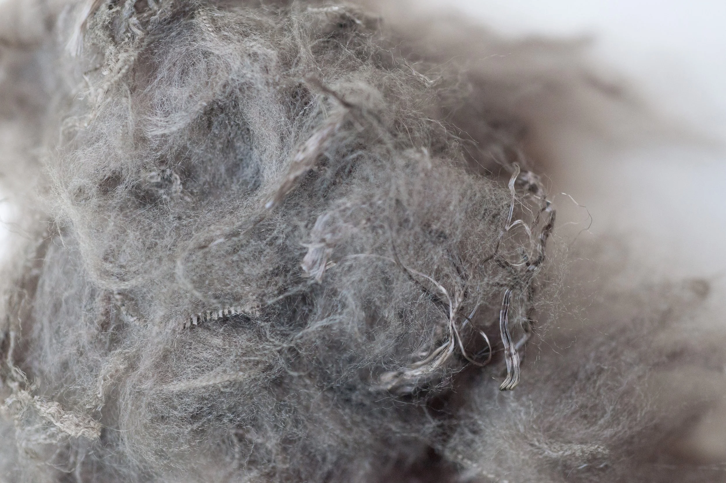 Close-up of tangled, grayish fibers and fabric.