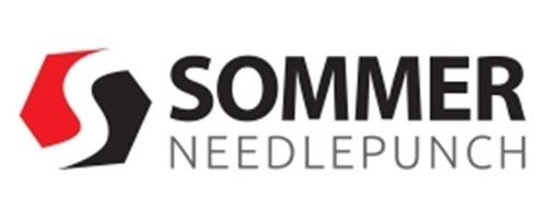logo-Sommer Needlepunch.jpg