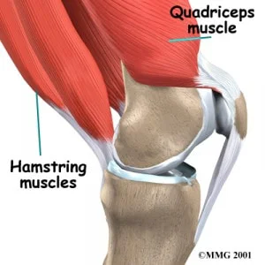 Knee Fix Questions