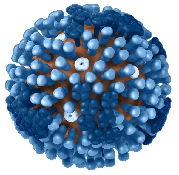 Tennis and The Virus