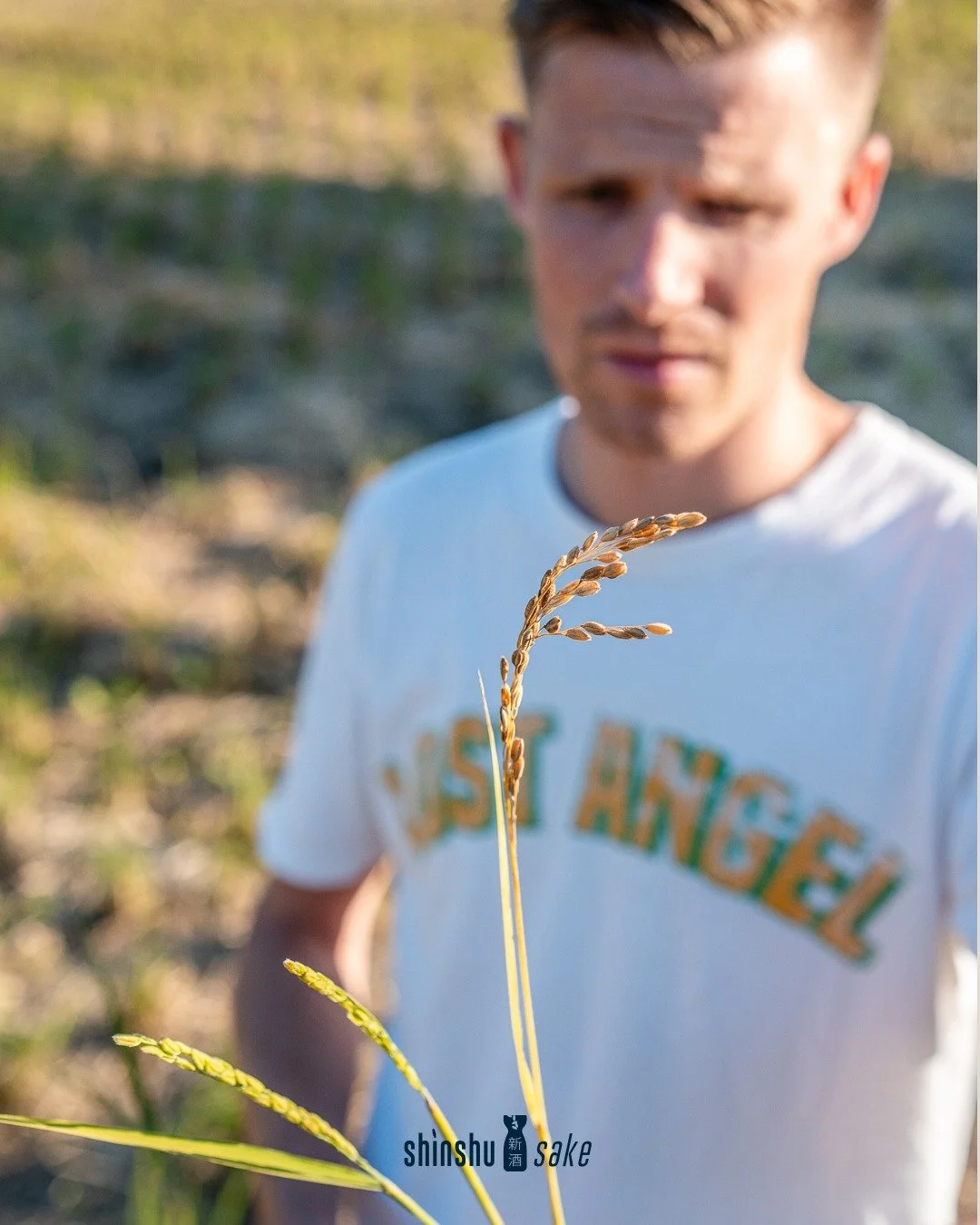 Certified Sake Sommelier 
Our flagship 2-day course with examination, designed for hospitality professionals and dedicated sake enthusiasts.

Learn sake styles, label reading, correct service and how to confidently introduce sake to guests or make th