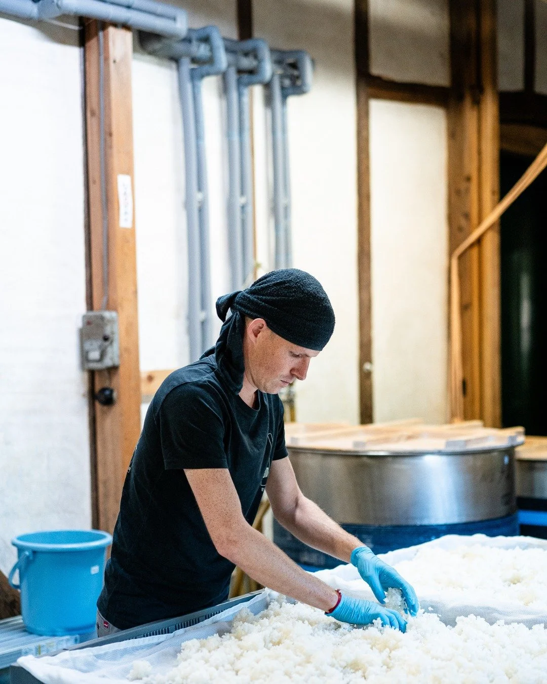 The breath of winter cools the kakemai.
Our hands guide the temperature, loosening every grain.
寒造り &mdash; Kanzukuri at its finest.

#sake #sakesommelier #japan #sakeeducation #nihonshu #brewing