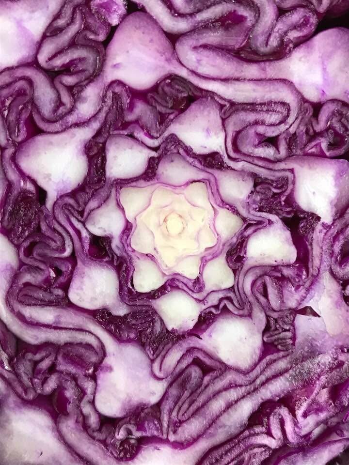 Close-up of a cross-section of a purple and white flower, showcasing layered petals with ruffled edges and intricate pattern.