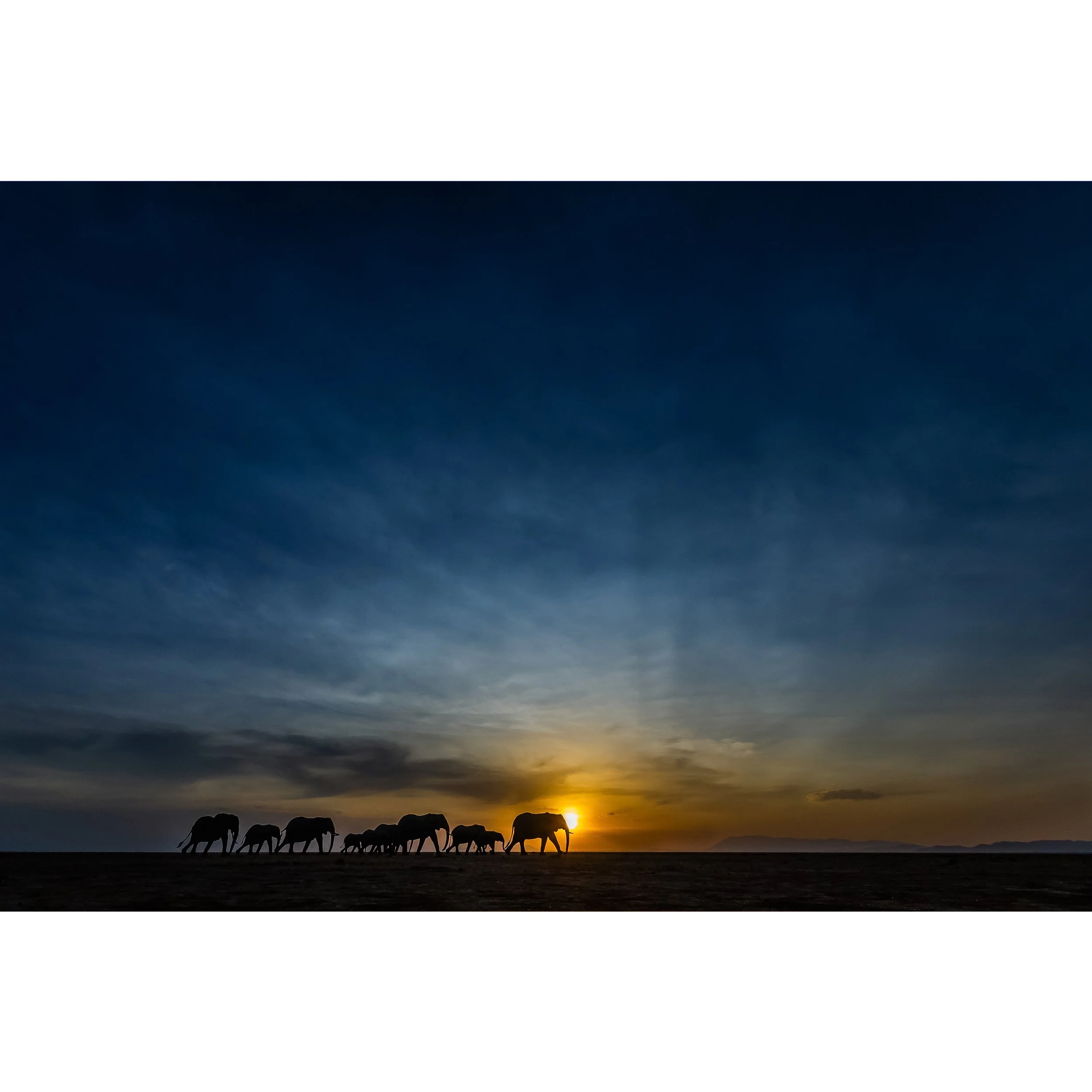 The Land Of The Giants.jpg