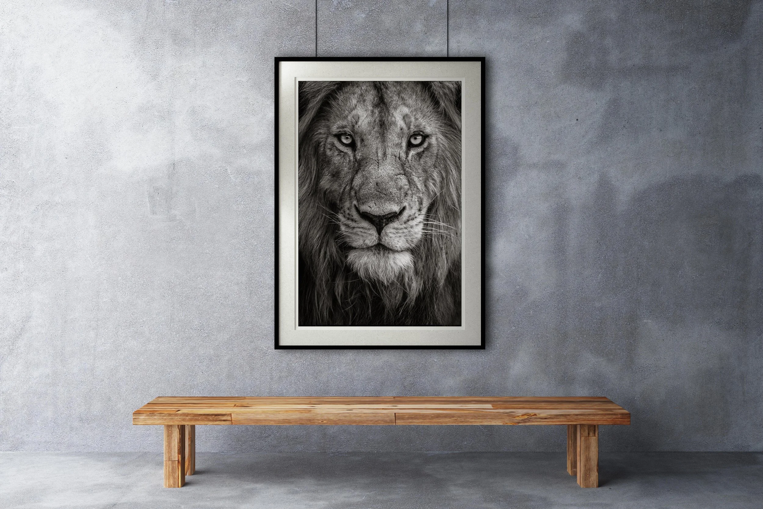 The Nomad Mock-Up HIGH RES copy.jpg