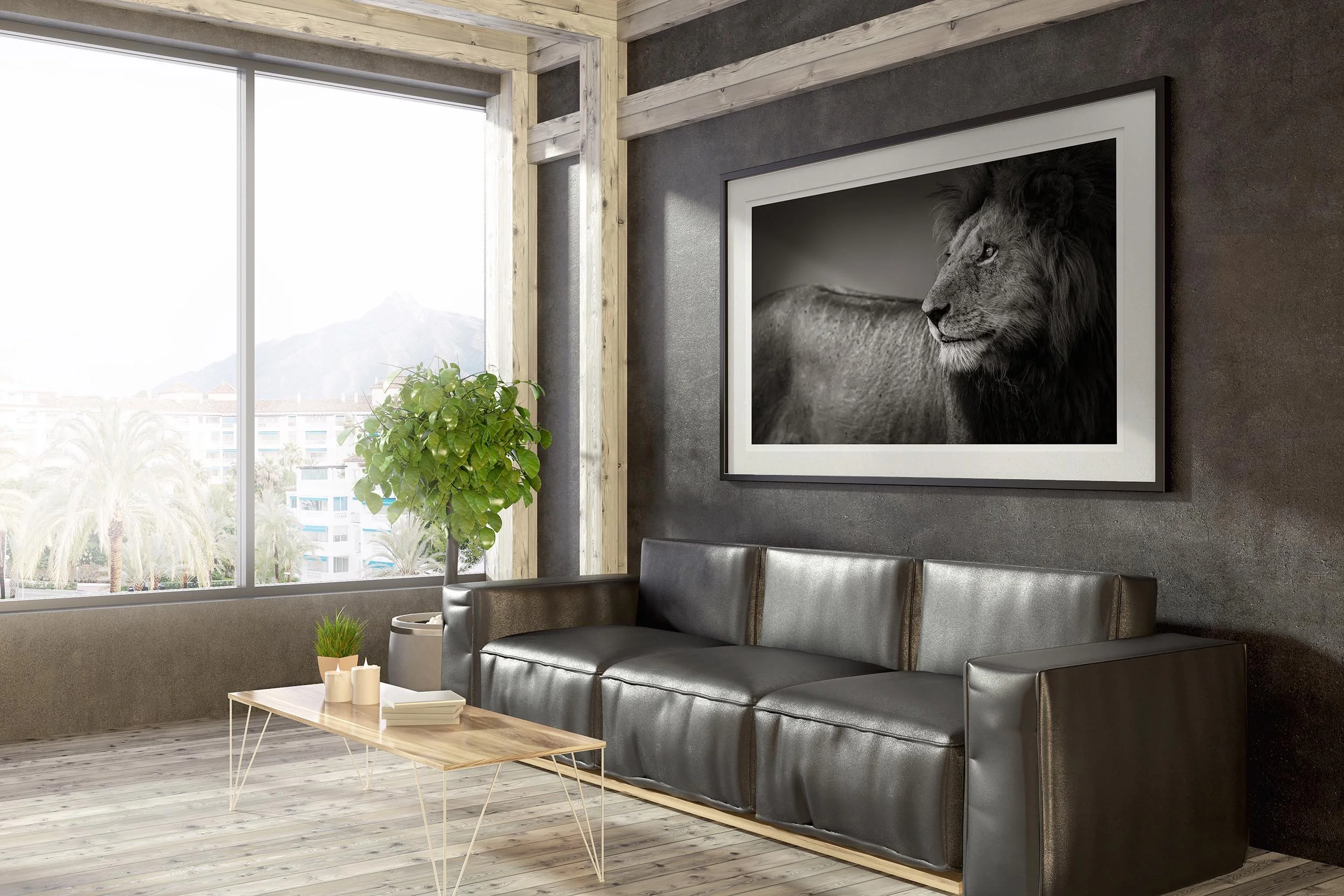 Beauty, Power, Majesty Mock-Up HIGH RES copy.jpg