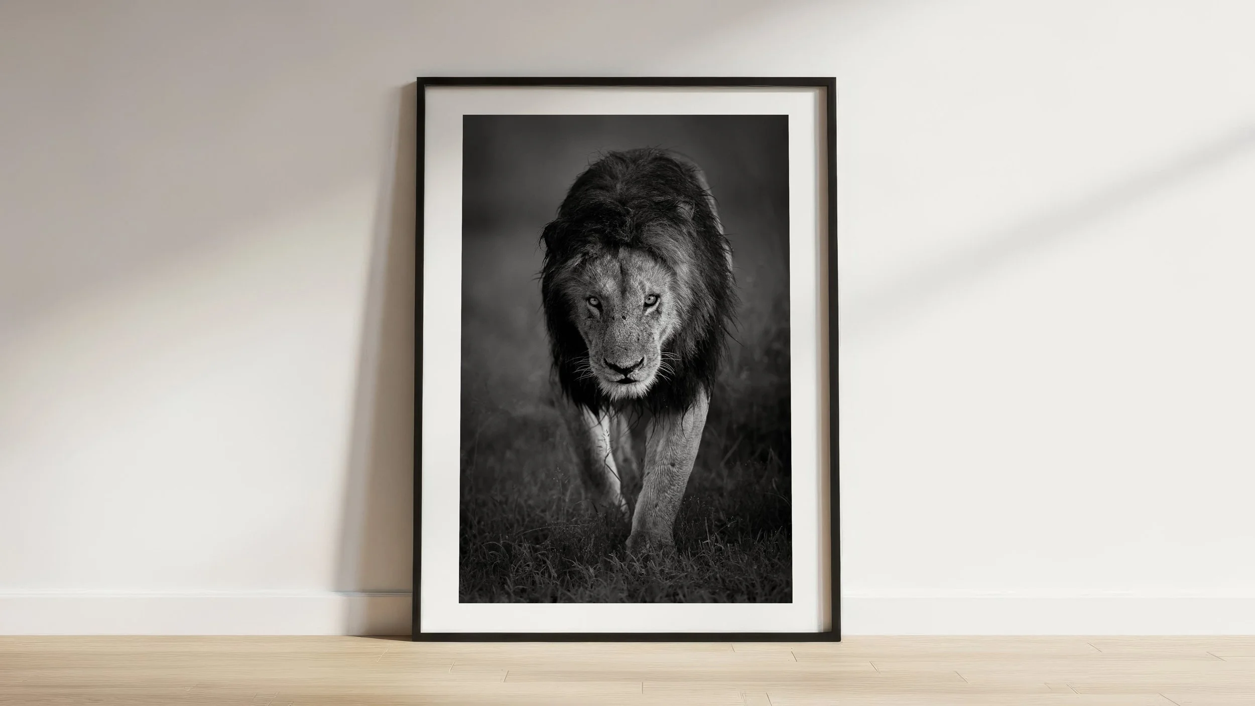 AdobeStock_1841694372 copy.jpg