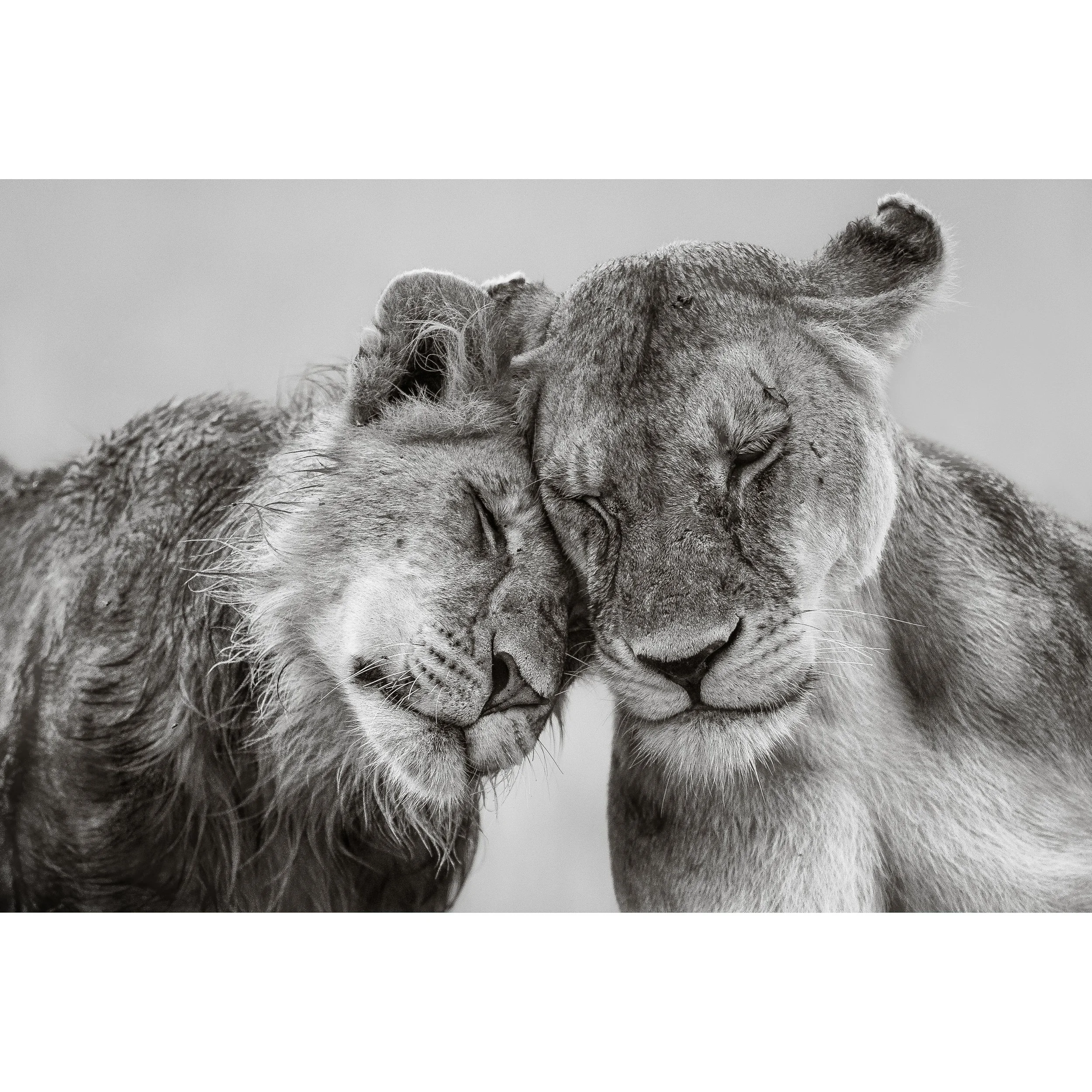 The Strongest Bond.jpg