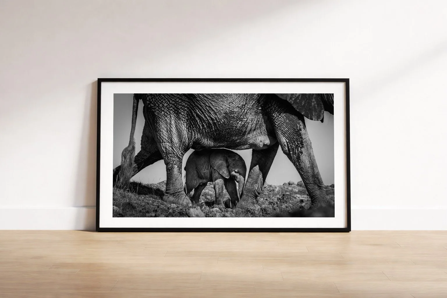 Under Mother's Guidnace.jpg