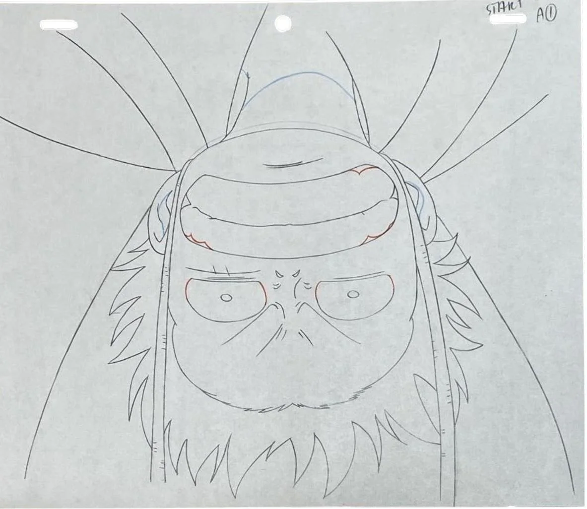Monkey D.Luffy