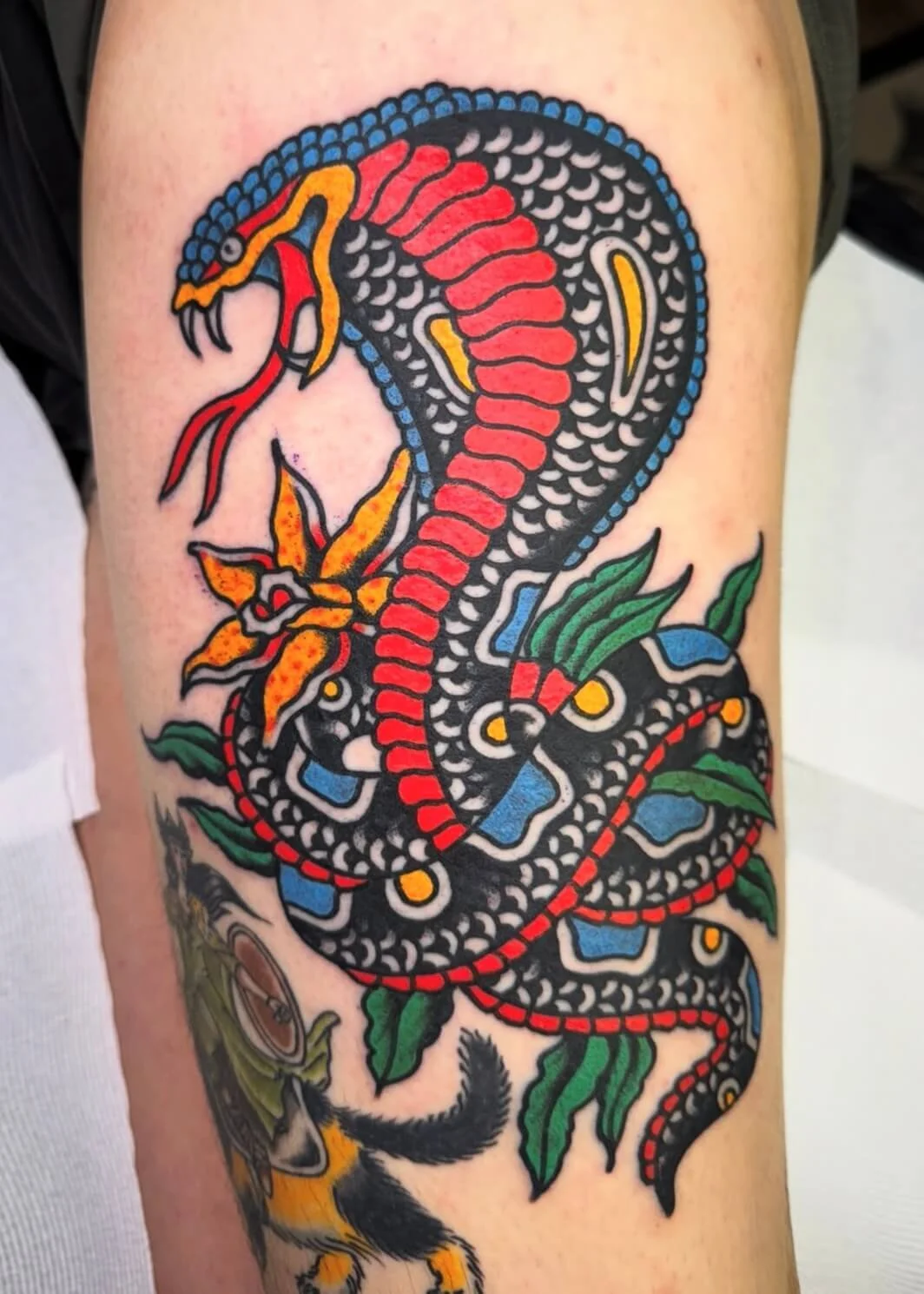 Mitch Oscar Sydney Traditional Tattoo Cobra Exotic Flower