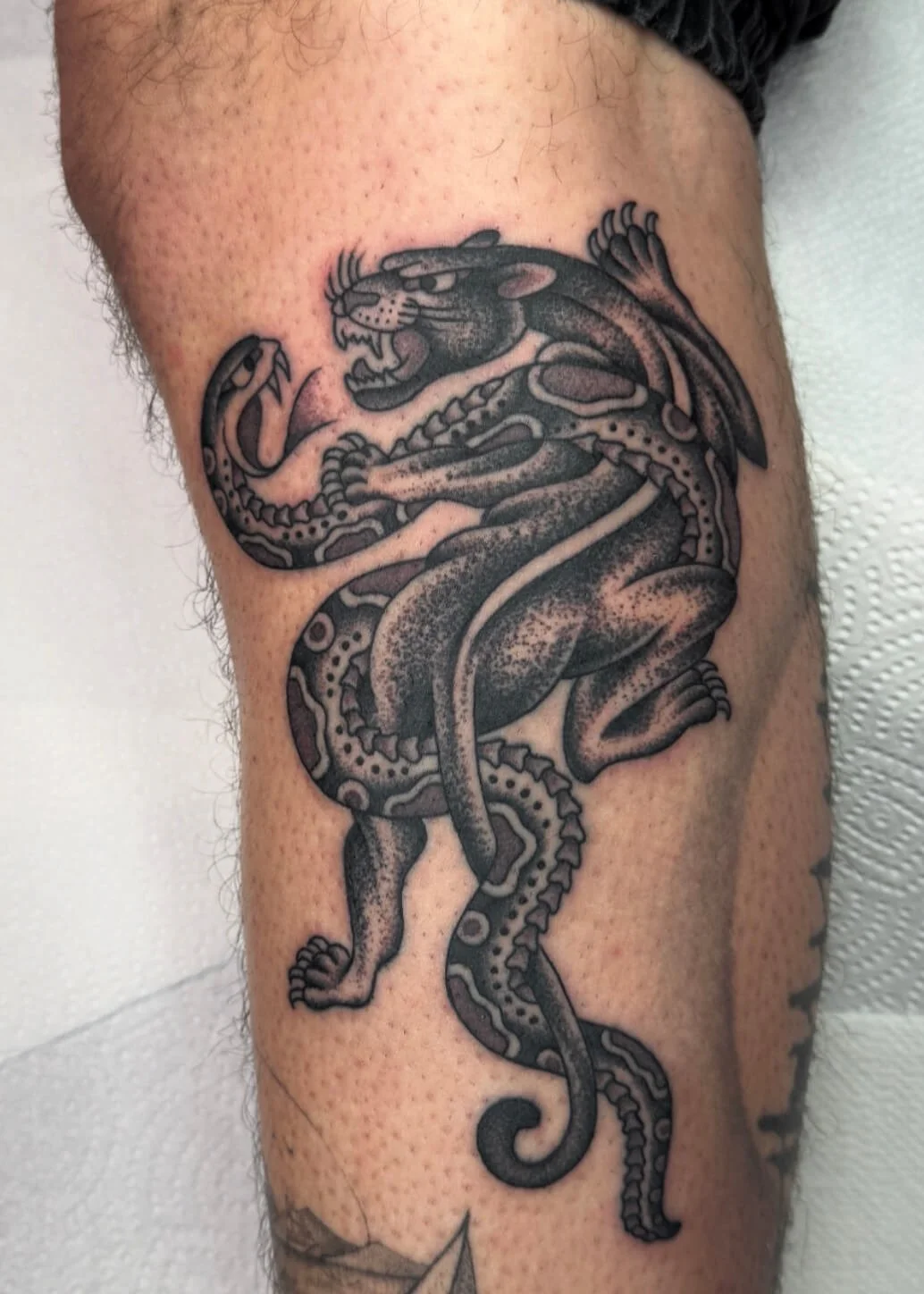 Black and gray tattoo of a fierce panther with open mouth showing teeth, intertwined with a large serpent coiled around its body, on a person's upper arm.