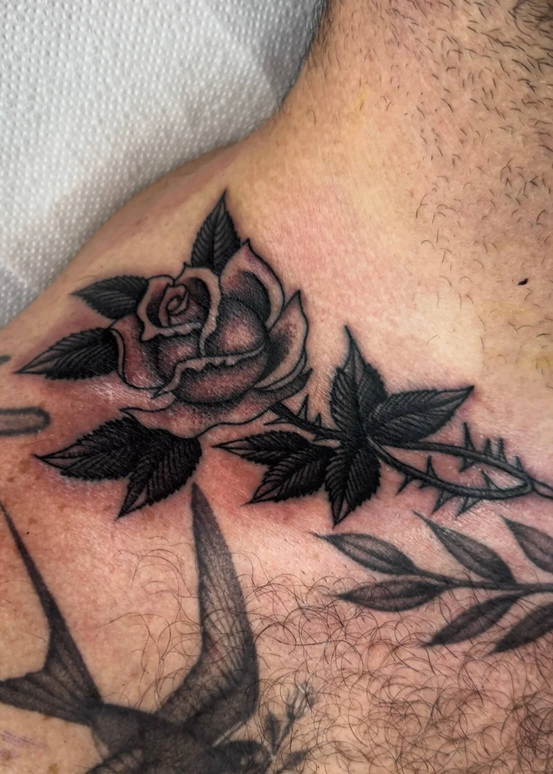 Tattoo of a rose with leaves on a person's upper chest.