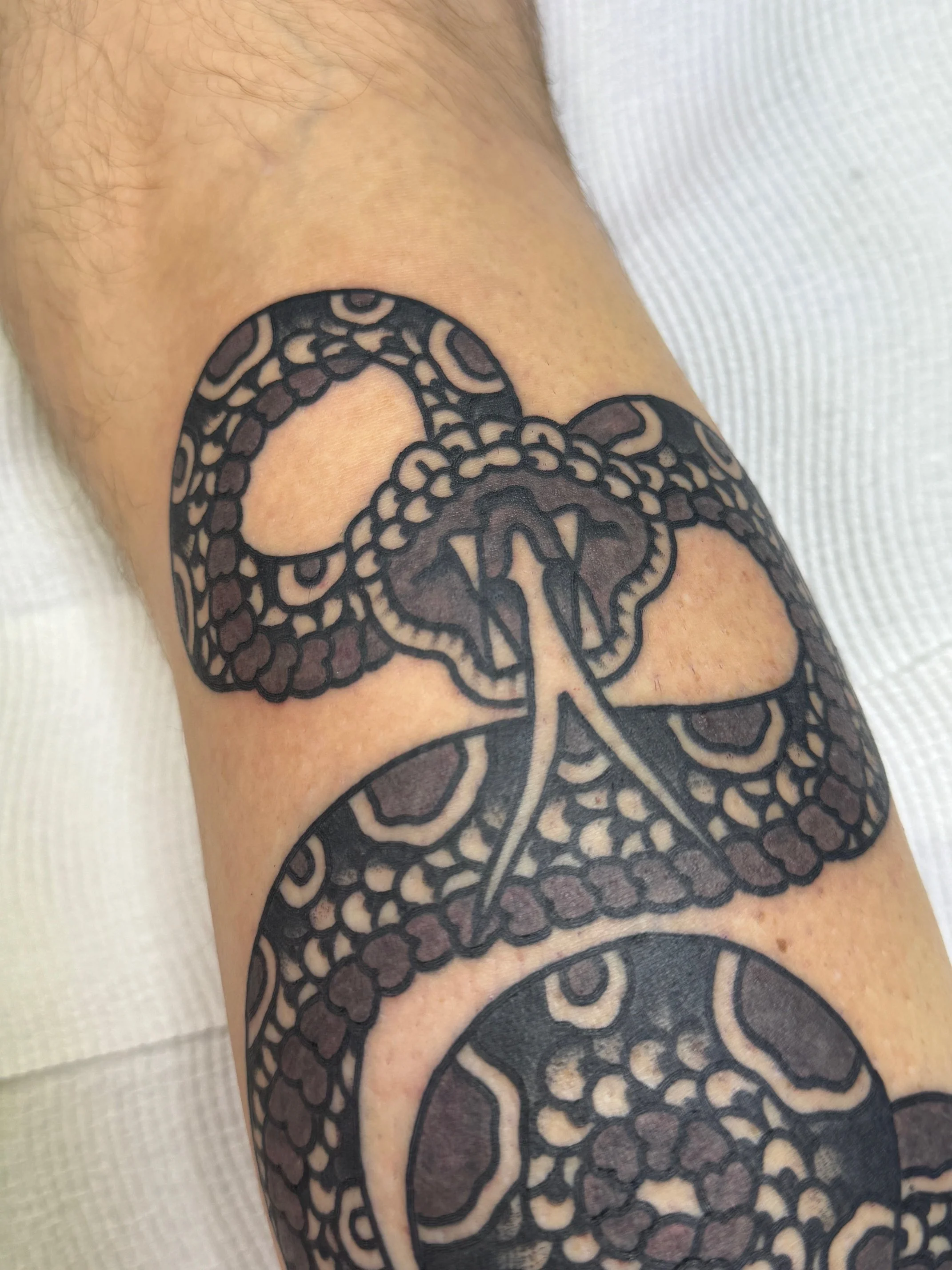 Black and grey snake tattoo