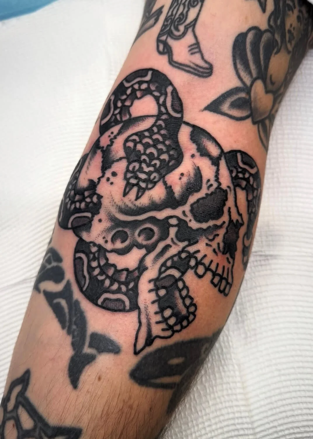 Mitch Oscar Sydney Traditional Tattoo Snake and Skull Ditch