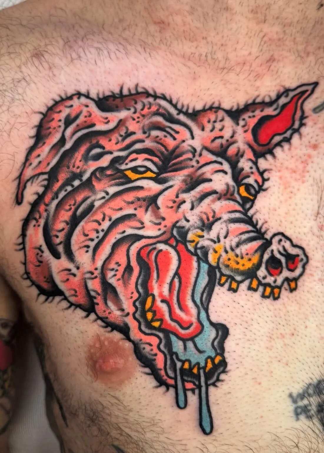Mitch Oscar Sydney Traditional Tattoo Pig Head Chest