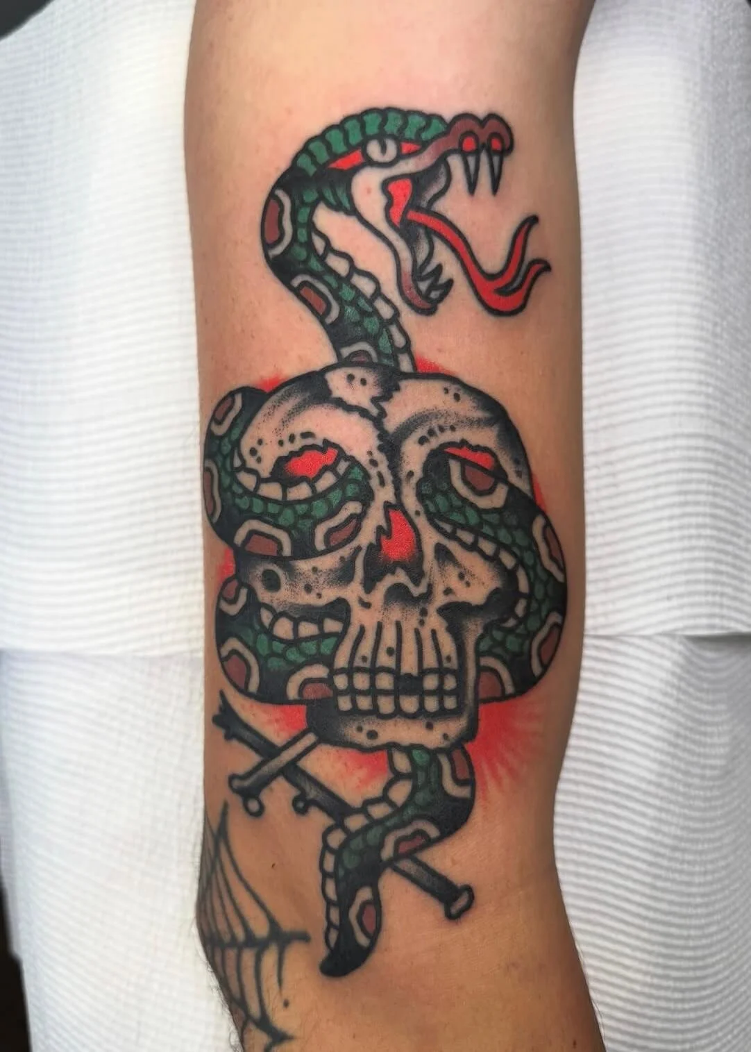 Mitch Oscar Sydney Traditional Tattoo Snake and Skull Bicep