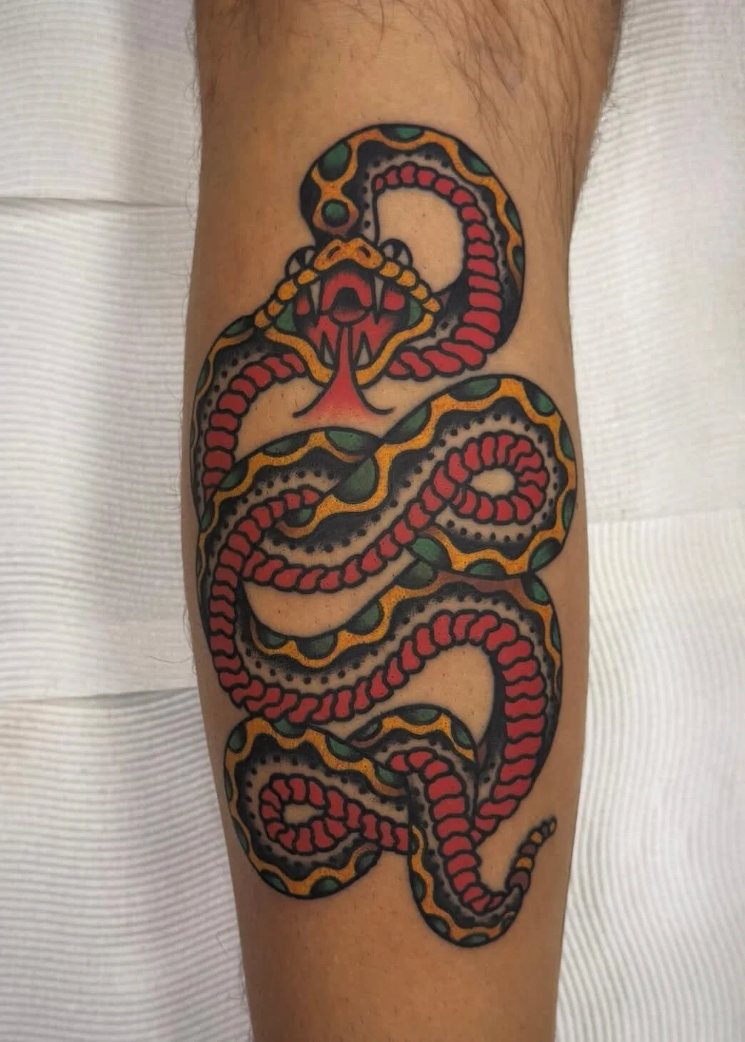 Mitch Oscar Sydney Traditional Tattoo Coiling Snake Calf