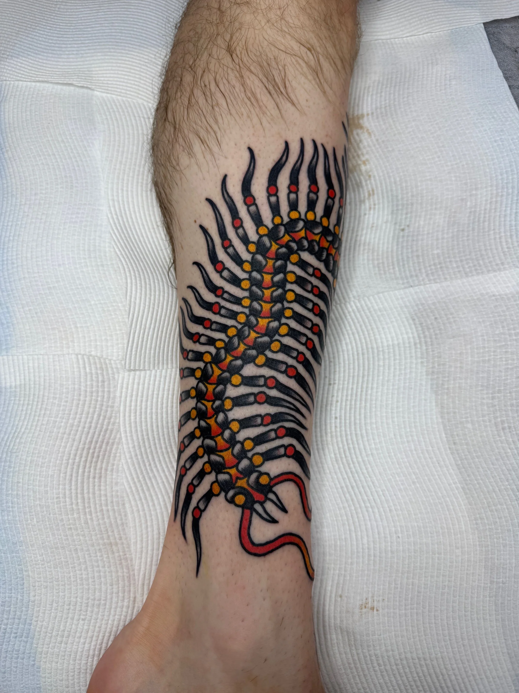 Freehanded classic traditional centipede colour tattoo