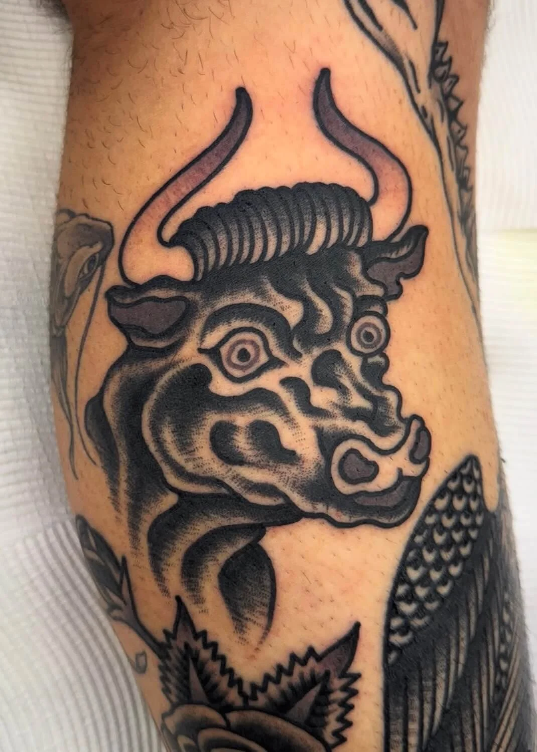 Mitch Oscar Sydney Traditional Tattoo Bull Leg