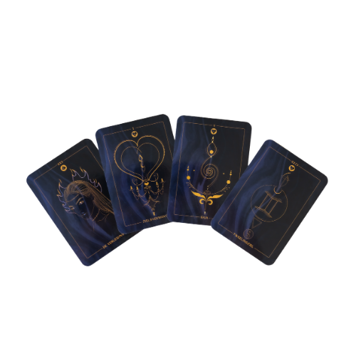 Become a Pro Card Reader • Deep Dive Training