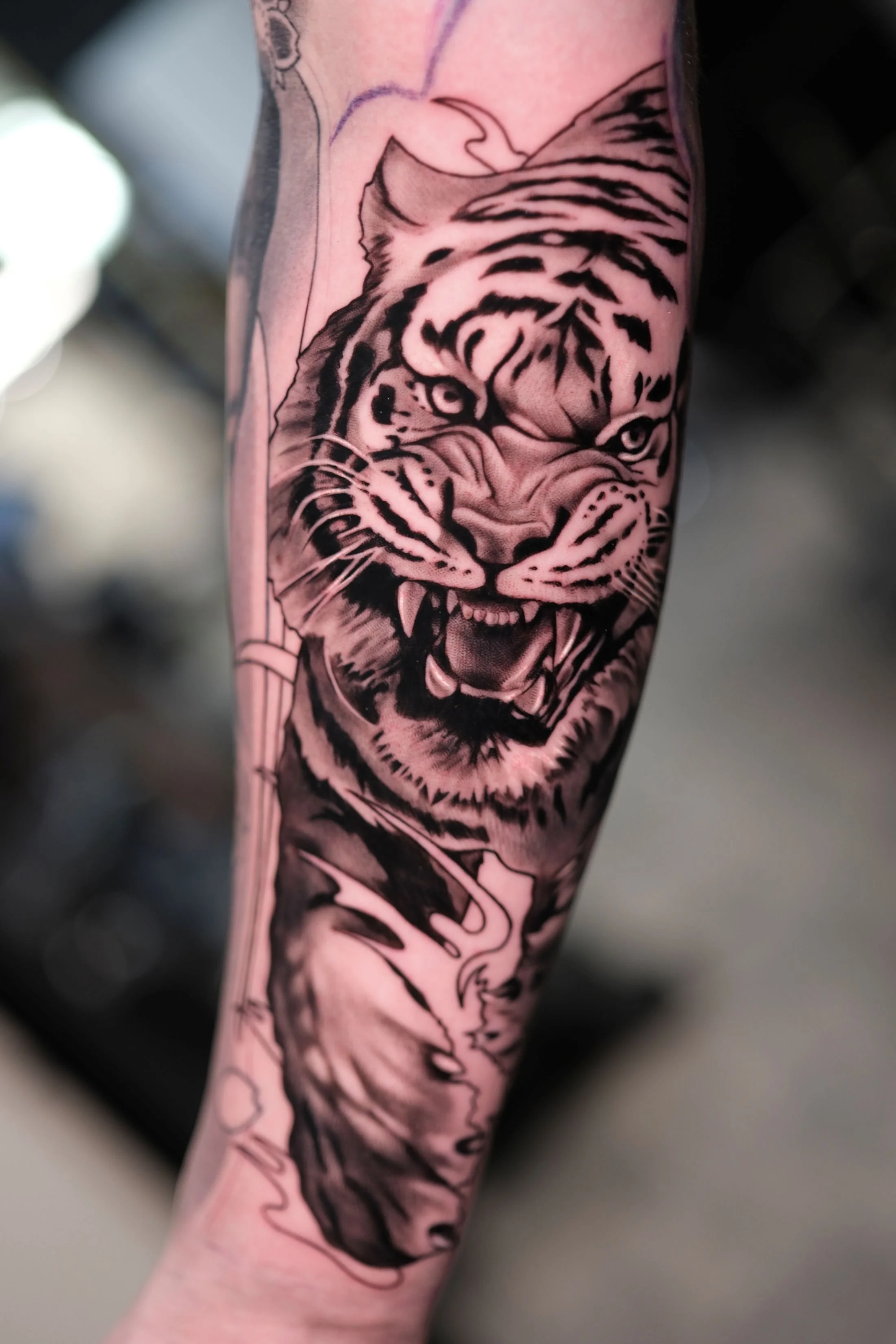 ciaran-harrington-tiger-realism-black-and-grey-tattoo-cambridge.jpg