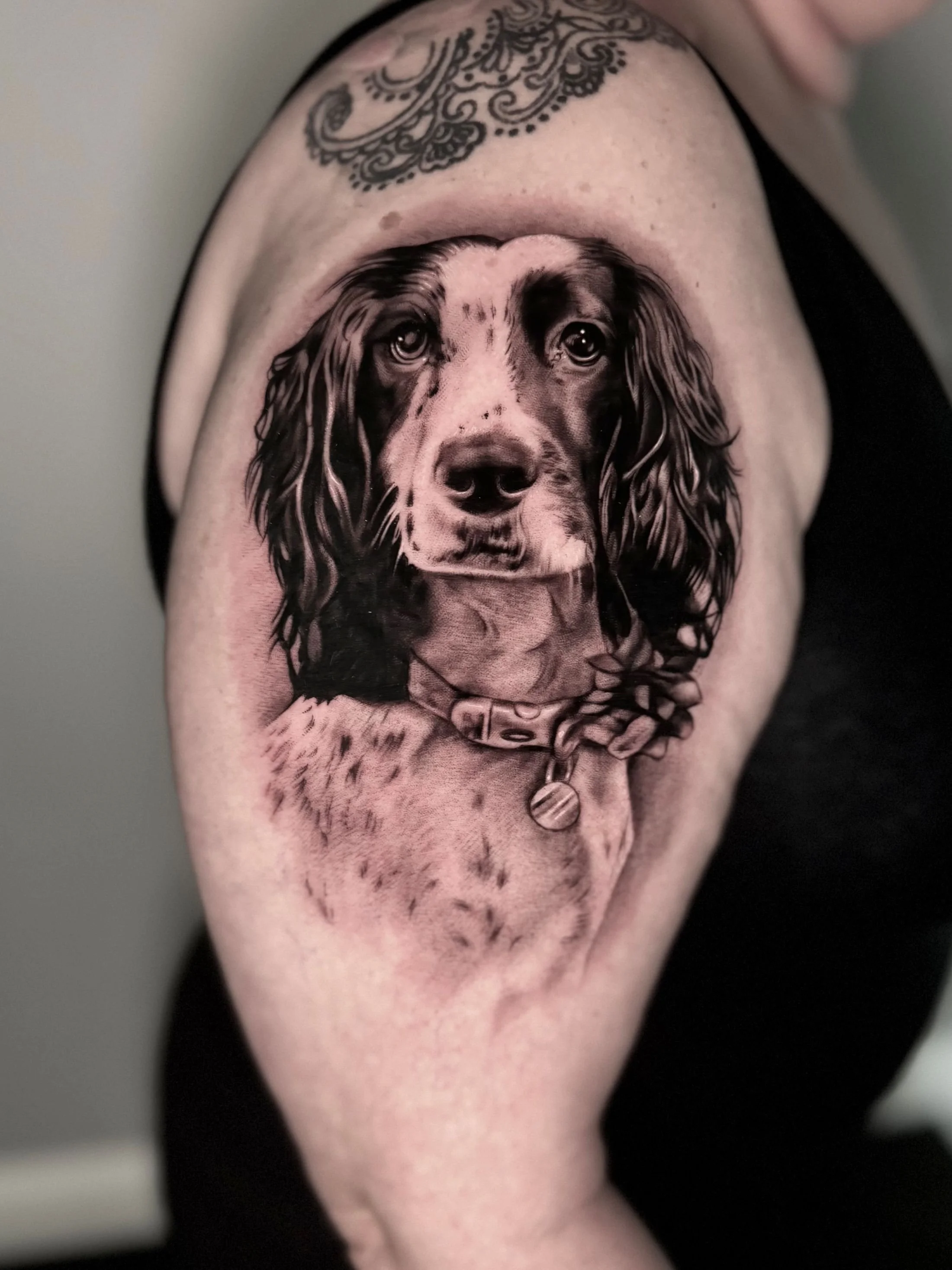 ciaran-harrington-dog-prtrait-black-and-grey-tattoo-cambridge.jpg