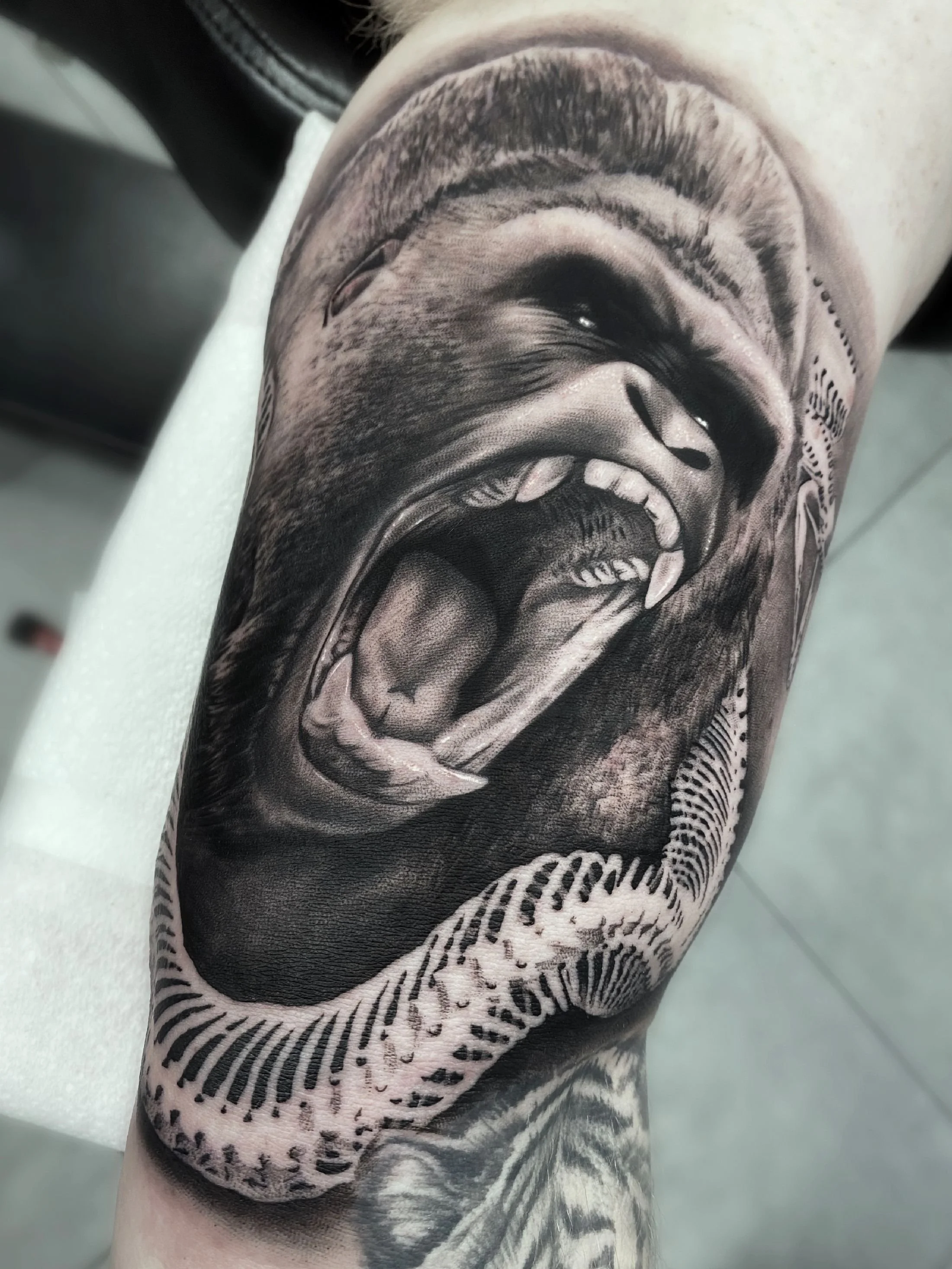 ciaran-harrington-gorilla-realism-portrait-black-and-grey-tattoo-cambridge.jpg