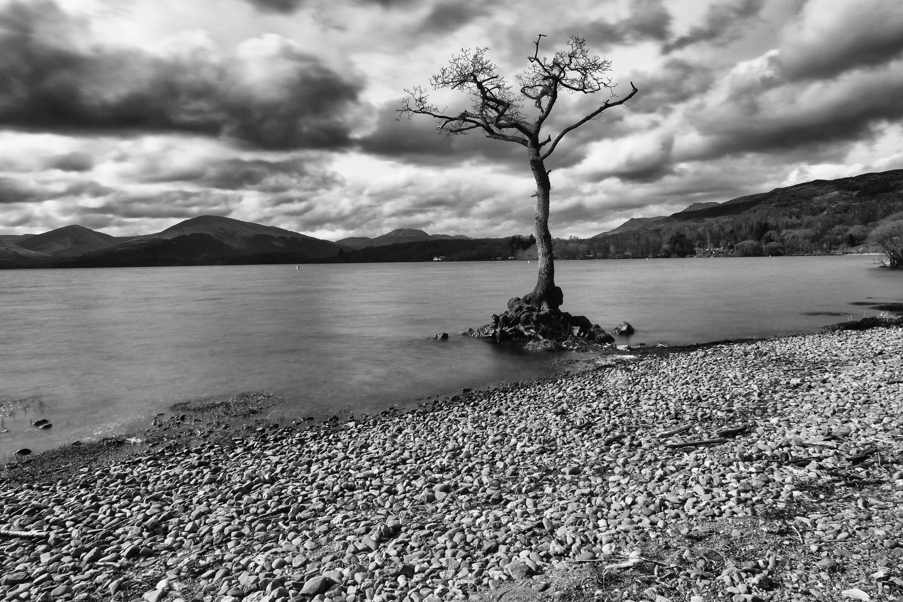 BalmahaLochLomond36.JPG