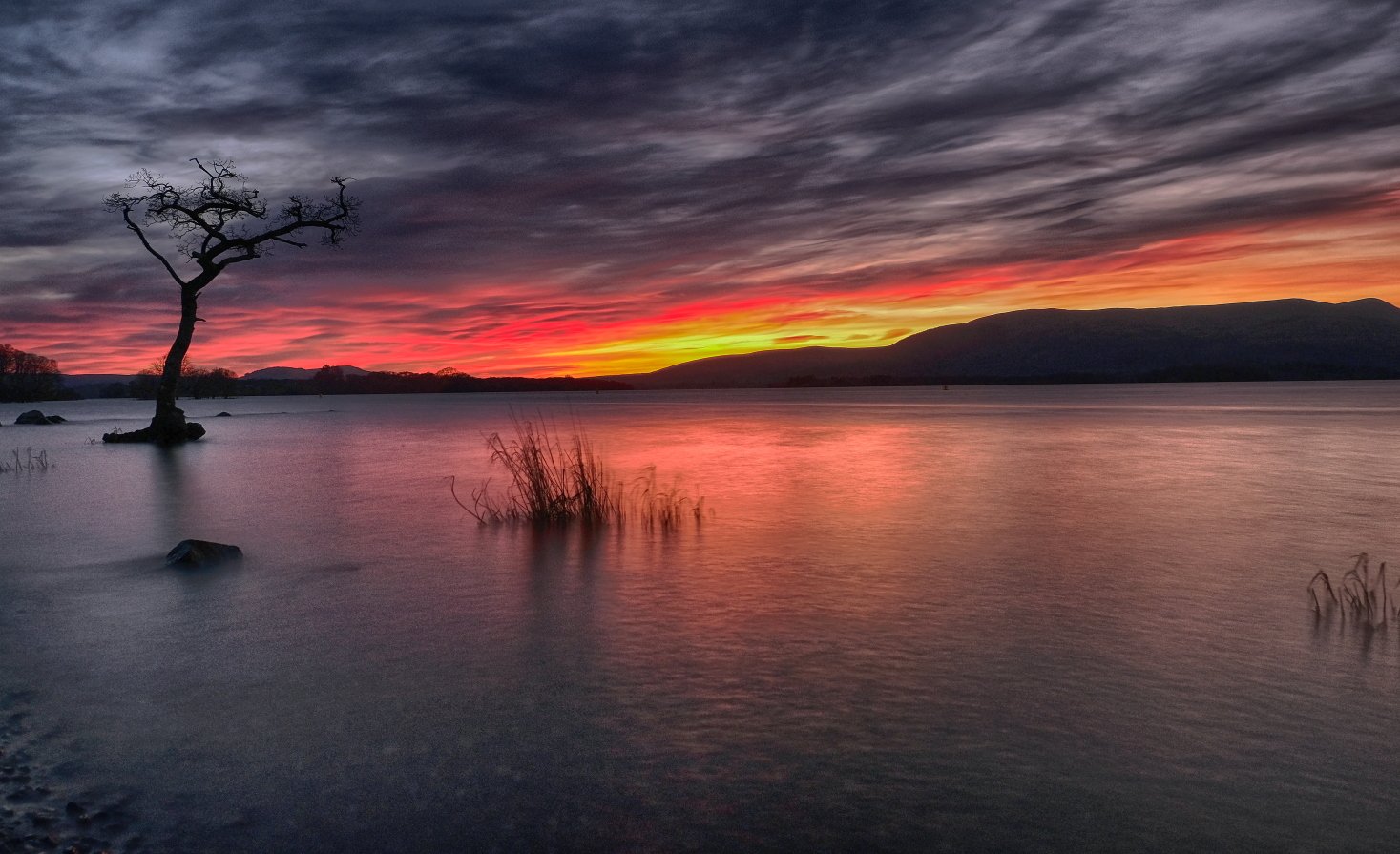 loch-lomondDSCF8545 copy1.JPG