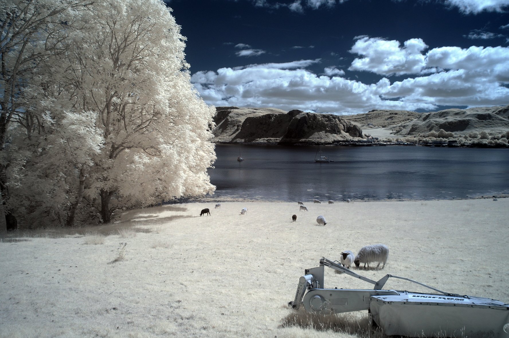 Infrared photography Argyll