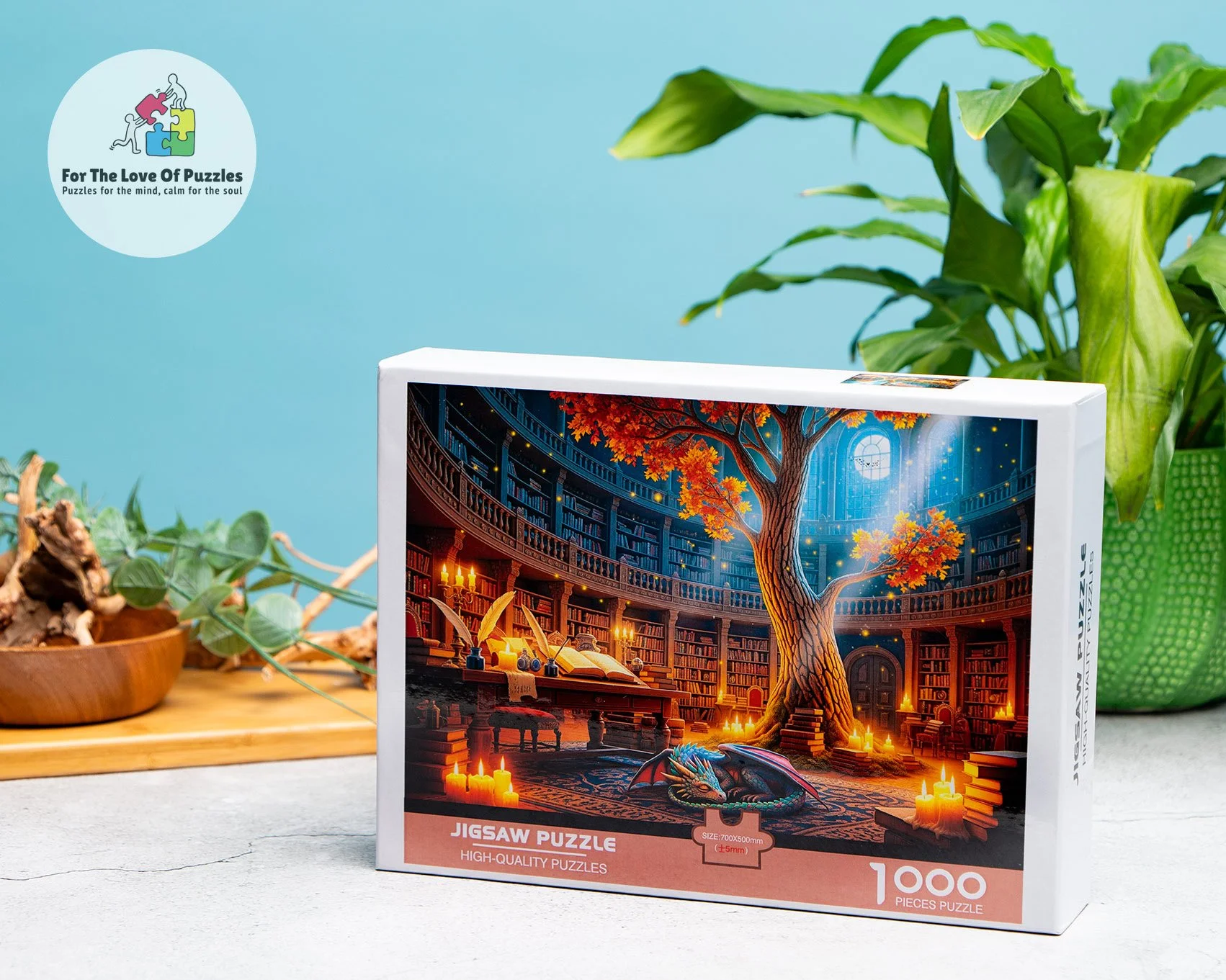 Library-1.jpg (Copy)