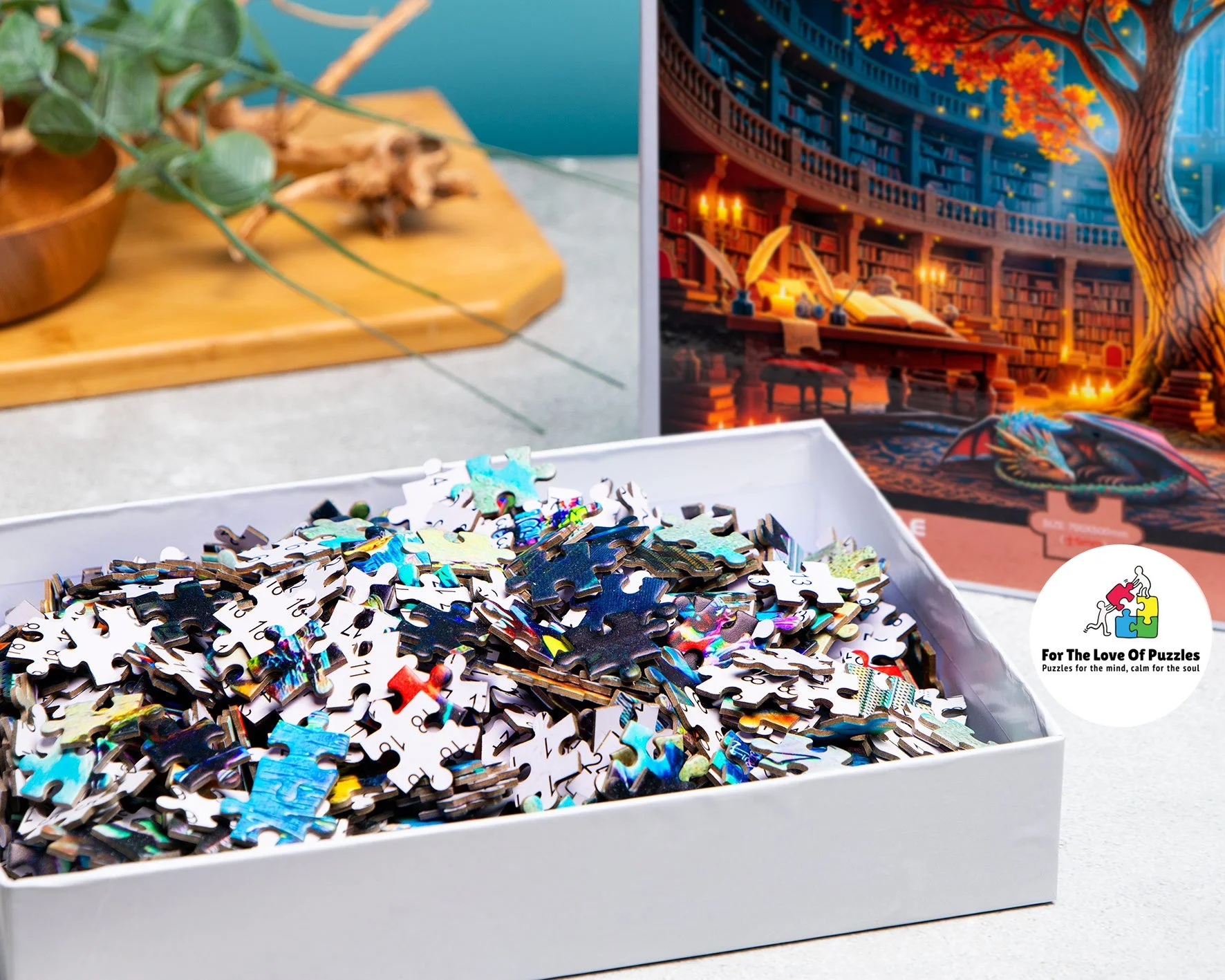 Library-3.jpg (Copy)