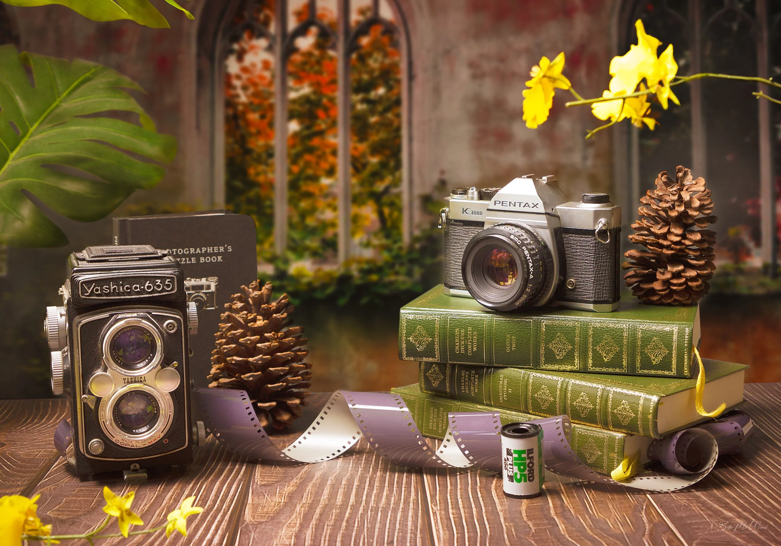 An artistic still life featuring vintage photography equipment, including a twin-lens reflex camera labeled 'Yashica-635', a 35mm film camera on top of a stack of green hardcover books, a roll of film, and some pine cones, set on a wooden surface with autumnal decorations.