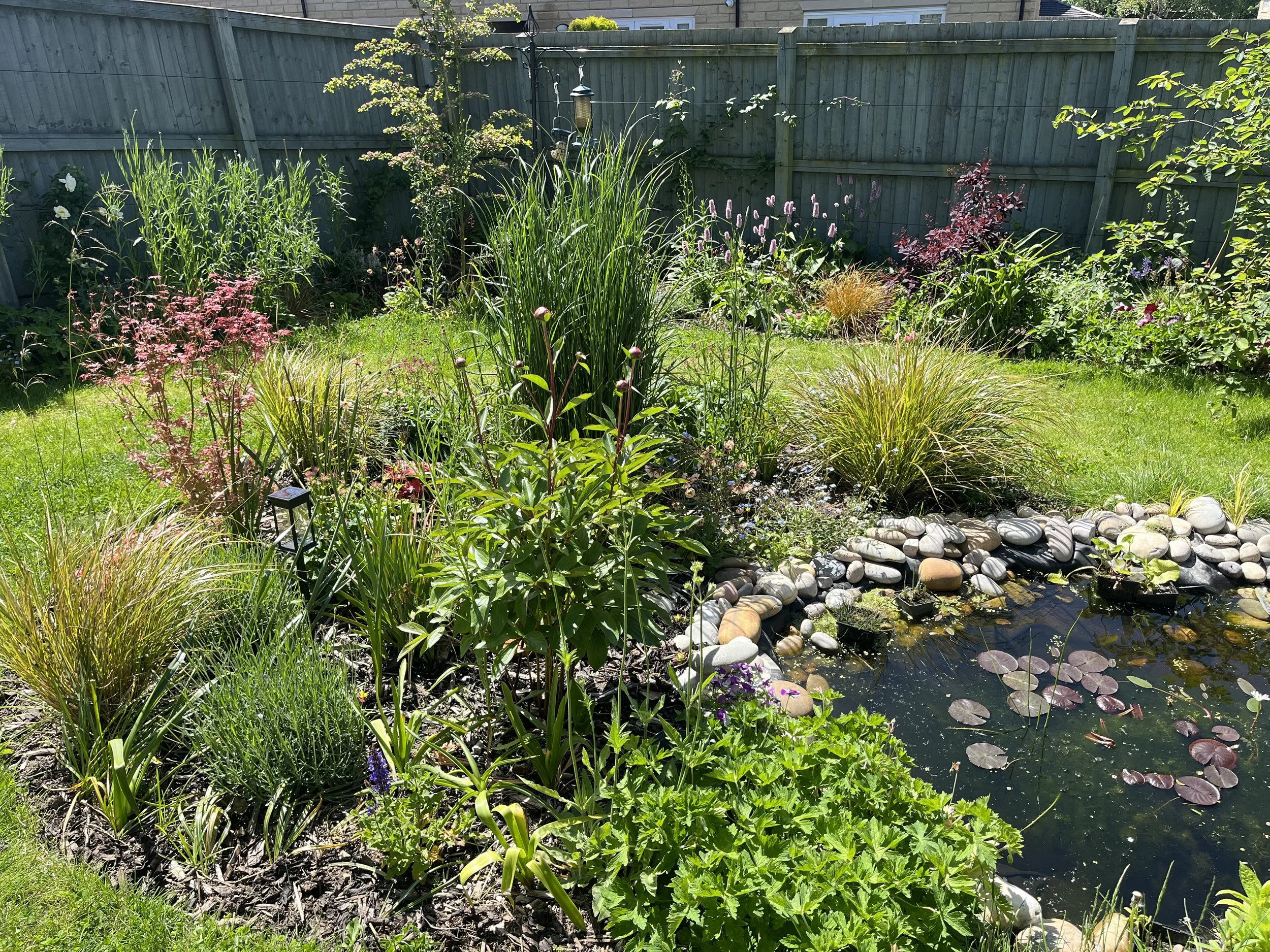 A colourful garden with a small pond surrounded by various plants and flowers, bordered by smooth white stones, with a wooden fence and green grass in the background.