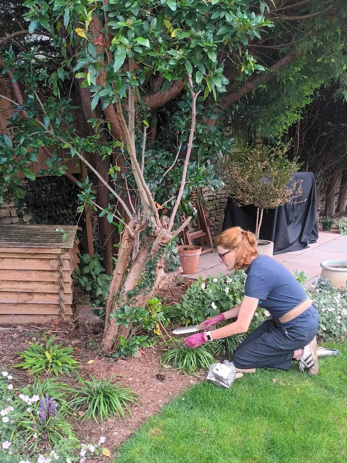 A woman kneels on the grass garden bed, planting or tending to plants near a tree in a backyard garden. She is wearing a navy shirt, black pants, striped shoes, purple gloves, and glasses.