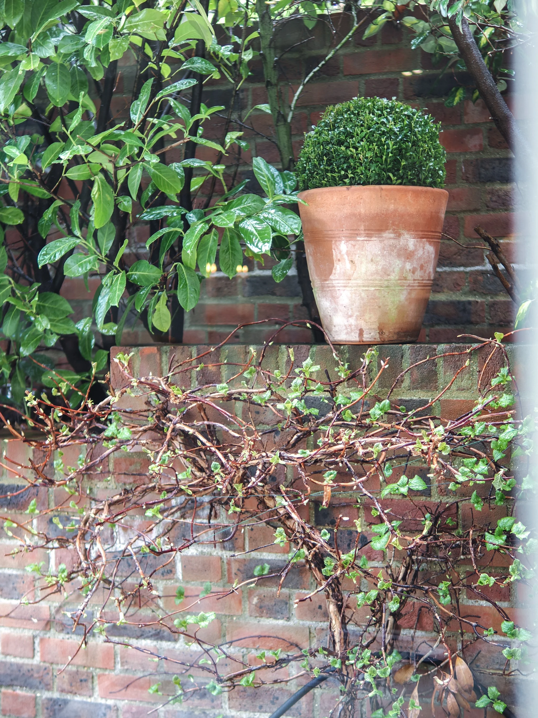 Red brick wall