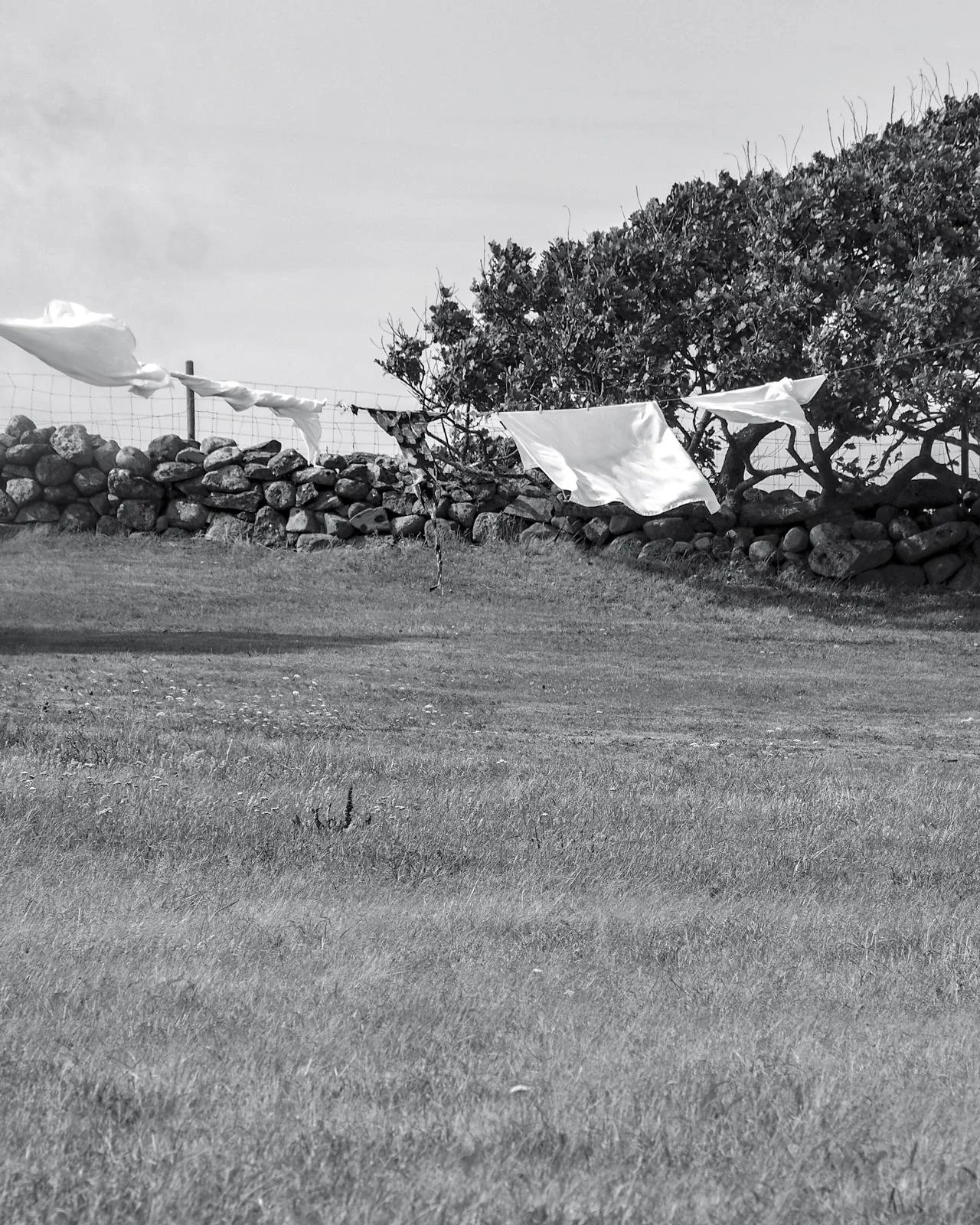"Sommerminner" Foto; Cecilie Refsum