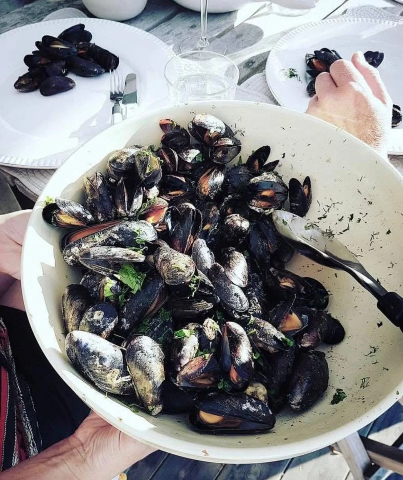Hvitvinsdampede blåskjell med aioli