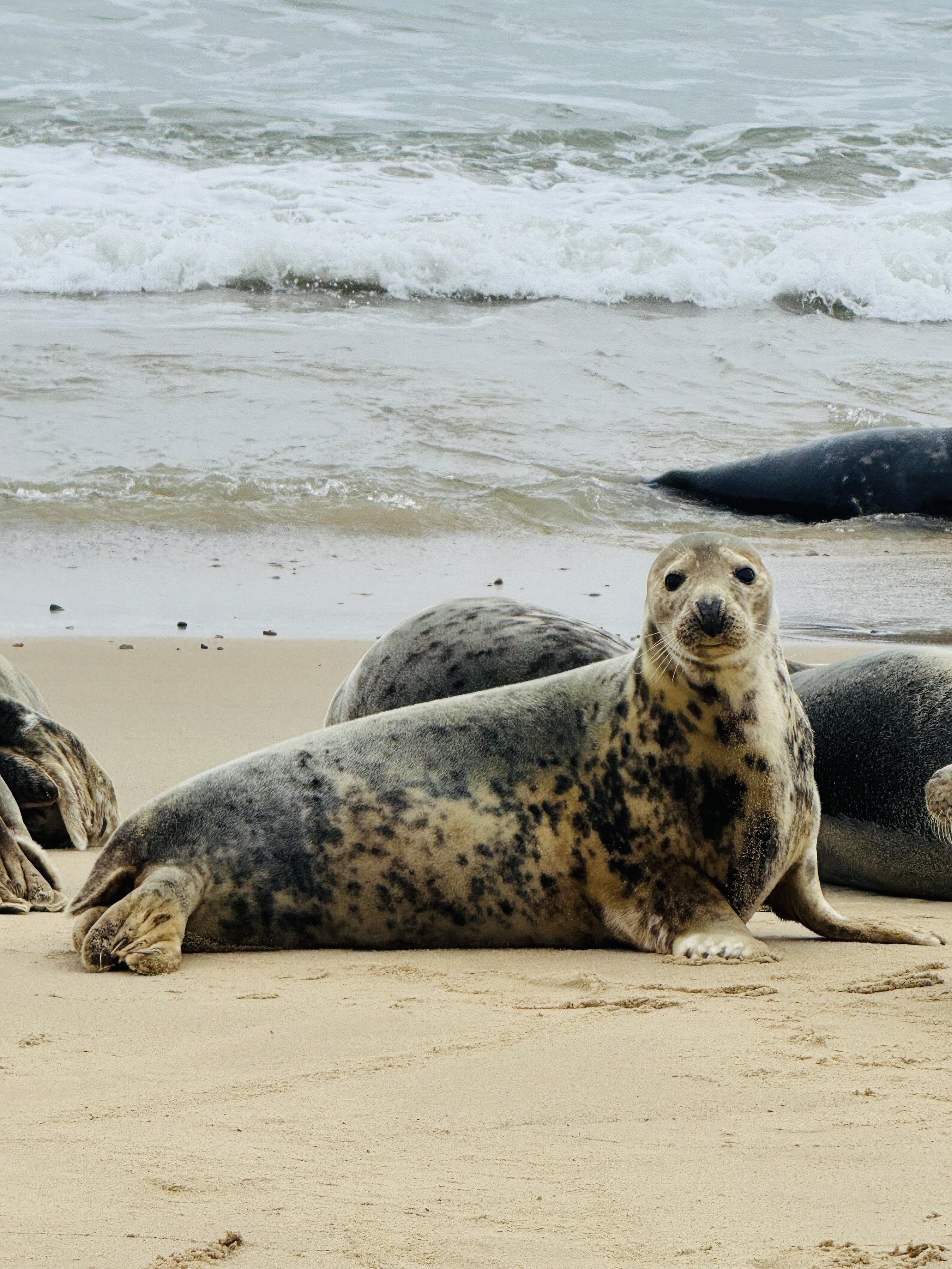 Top 10 Things to Do Around Bacton and the Norfolk Broads