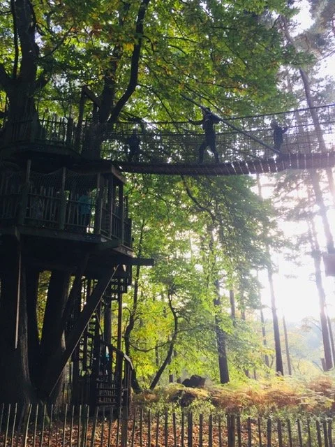 BeWILDerwood Tree top climbing.jpg