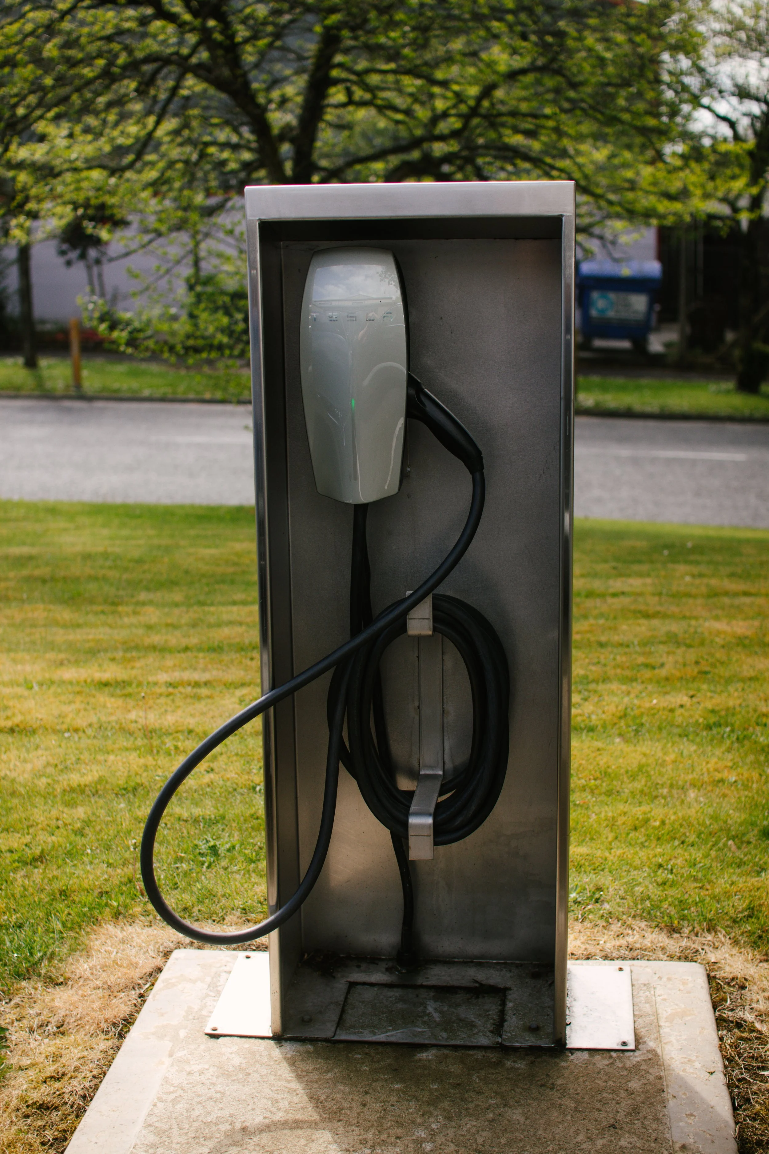 DELI LITES electric vehicle charging station on a grassy area with a tree and road in the background.