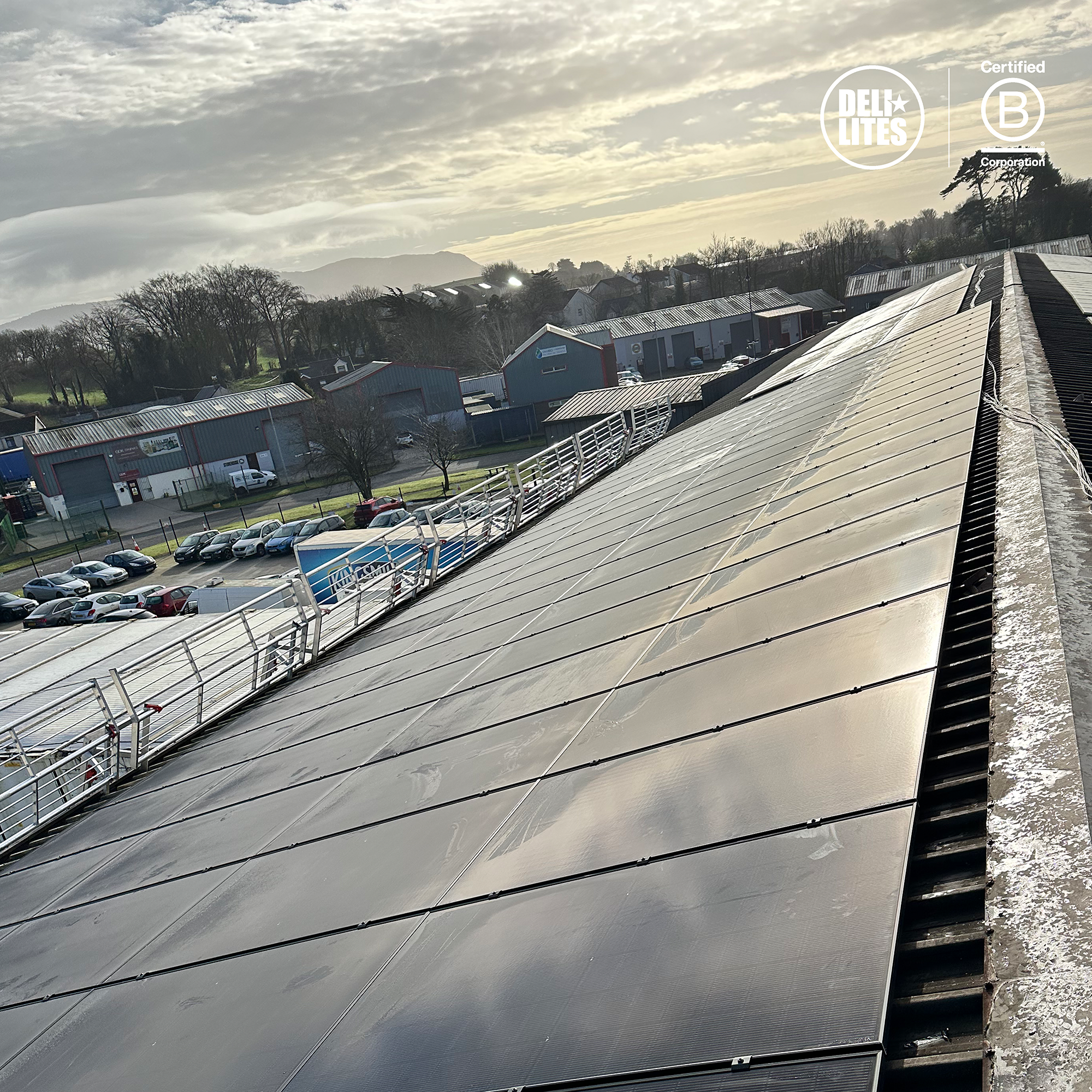 Large solar panels installed on DELI LITES rooftop with a view of industrial buildings, trees, and a parking lot in the background under a cloudy sky.